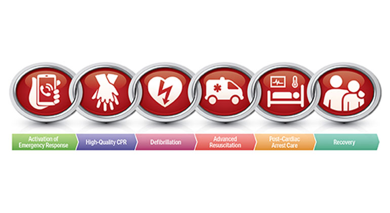 Was ist die Überlebenskette? Nach den AHA-Richtlinien (Chain of survival) 